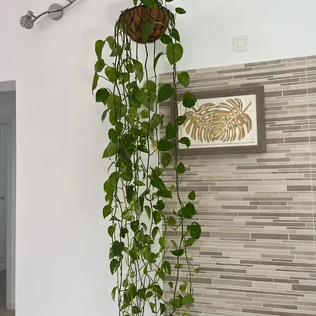 Casa Costa Bella * Коста-Тегисе