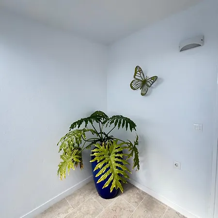 Casa Costa Bella *